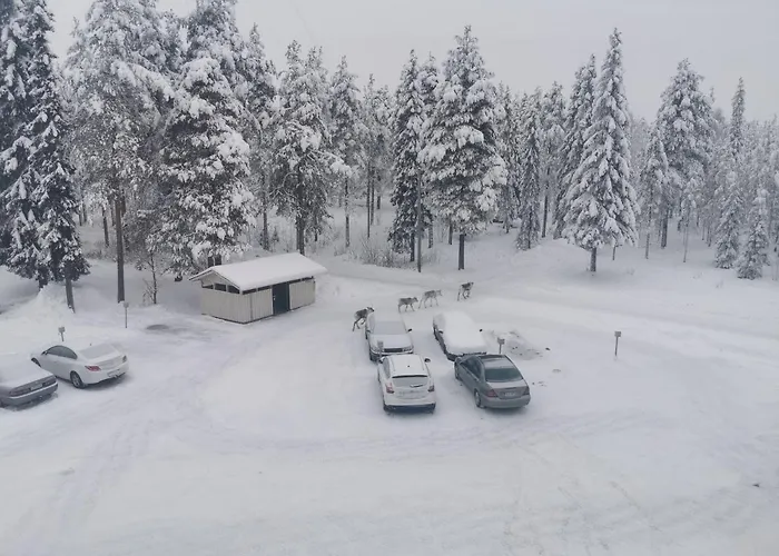 Cozy Korkalovaara Floor *